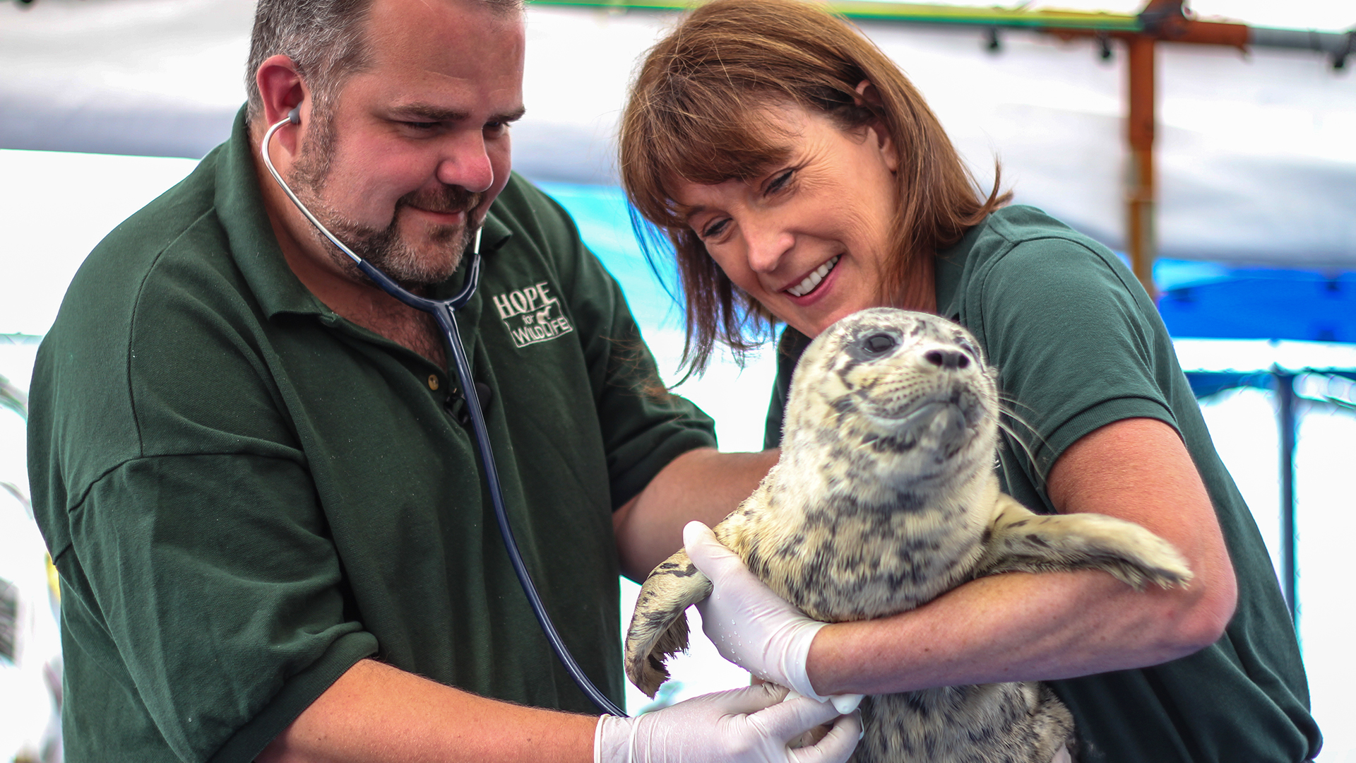 Hope for Wildlife S4E1 Hope For Marine Life Pt. 1 Knowledge.ca